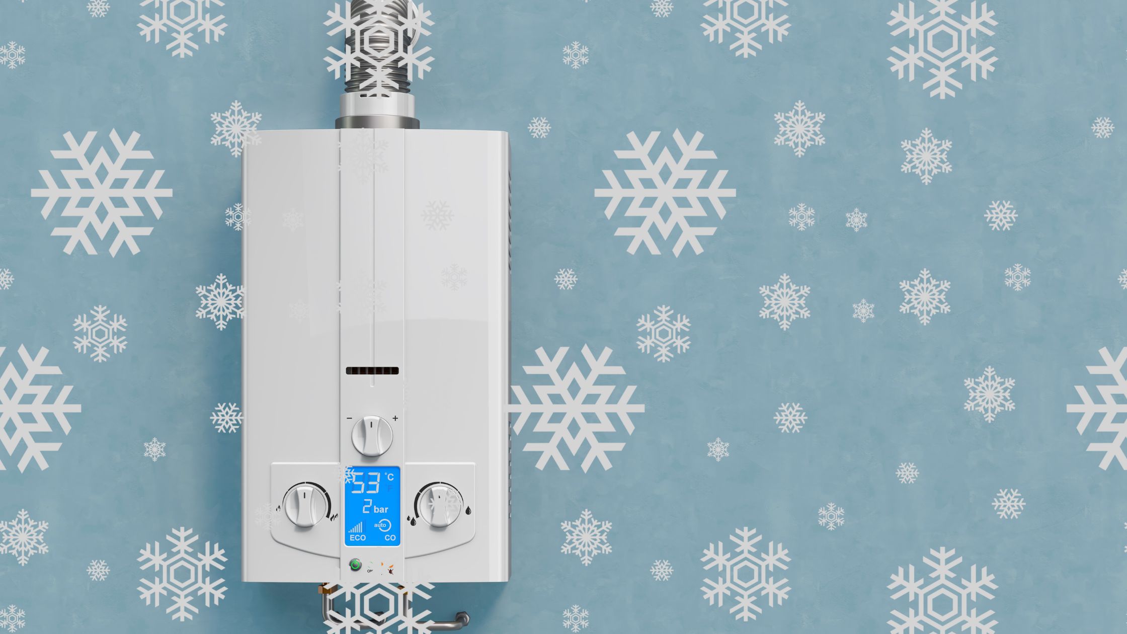 how to winterize a tankless water heater